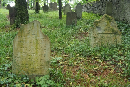 Židovský hřbitov Dřevíkov_55