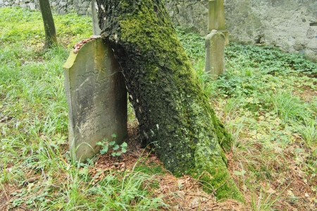 Židovský hřbitov Dřevíkov_56