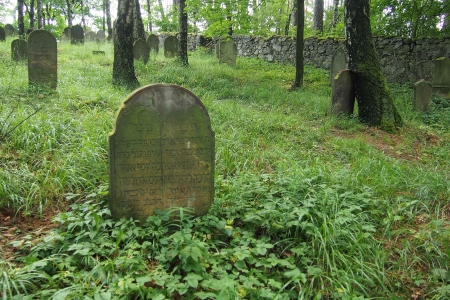 Židovský hřbitov Dřevíkov_57