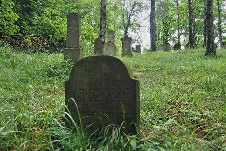 Židovský hřbitov Dřevíkov_58