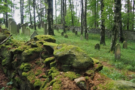 Židovský hřbitov Dřevíkov_60
