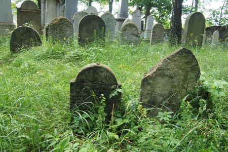 Židovský hřbitov Dřevíkov_62