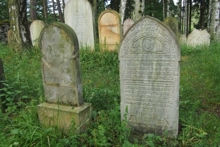 Židovský hřbitov Dřevíkov_63
