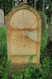 Židovský hřbitov Dřevíkov_65