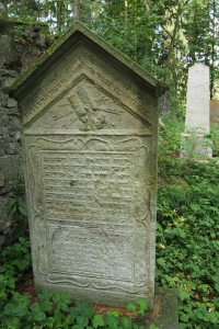 Židovský hřbitov Dřevíkov_72