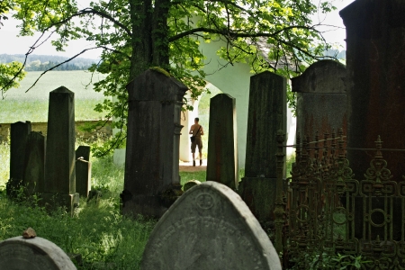 Židovský hřbitov Dřevíkov_73