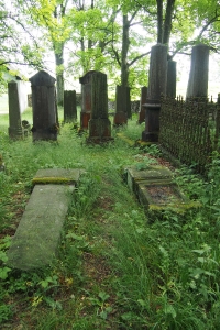 Židovský hřbitov Dřevíkov_75