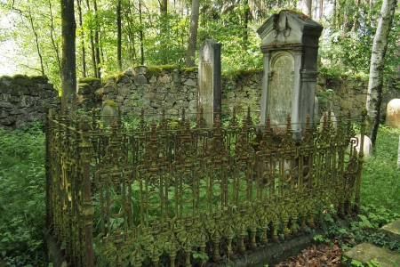 Židovský hřbitov Dřevíkov_76