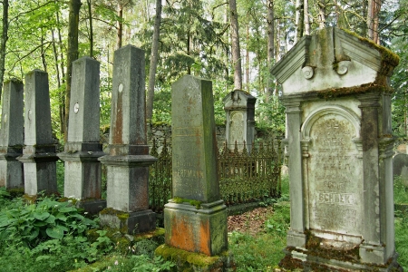 Židovský hřbitov Dřevíkov_77