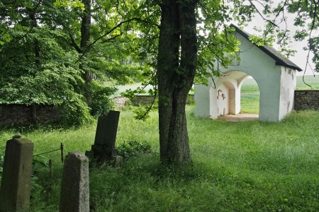 Židovský hřbitov Dřevíkov_78