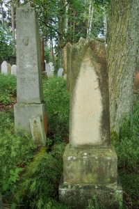 Židovský hřbitov Dřevíkov_79