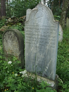 Židovský hřbitov Dřevíkov_7