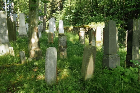 Židovský hřbitov Dřevíkov_82