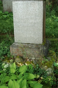Židovský hřbitov Dřevíkov_83