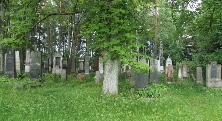 Židovský hřbitov Dřevíkov_8