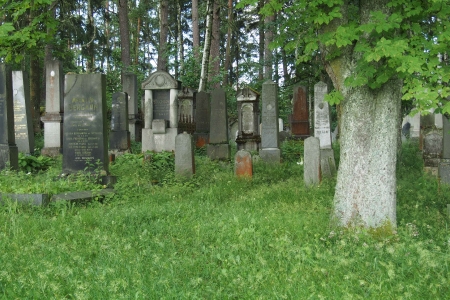 Židovský hřbitov Dřevíkov_9