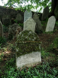 Židovská hřbitov Divišov_36