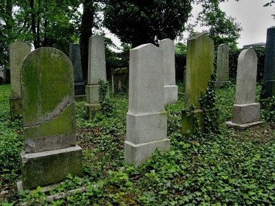 Židovský hřbitov Divišov_10