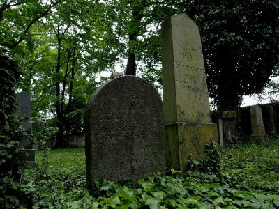 Židovský hřbitov Divišov_11