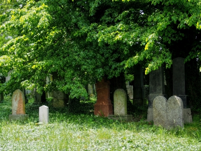 Židovský hřbitov Divišov_28