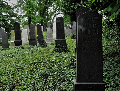 Židovský hřbitov Divišov_7