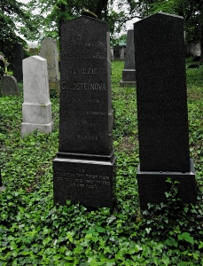 Židovský hřbitov Divišov_8