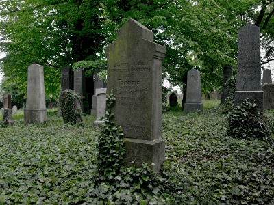 Židovský hřbitov Divišov_9