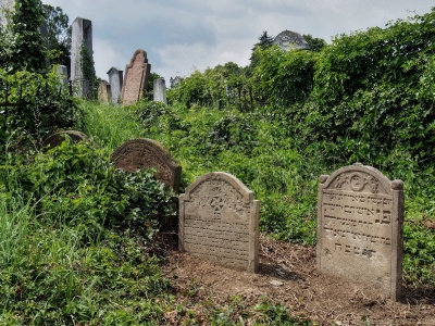 Židovský hřbitov Dolní Kounice_23