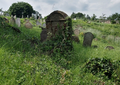 Židovský hřbitov Dolní Kounice_29