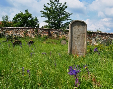 Židovský hřbitov Dolní Kounice_35