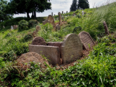 Židovský hřbitov Dolní Kounice_36
