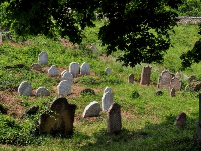 Židovský hřbitov Dolní Kounice_38
