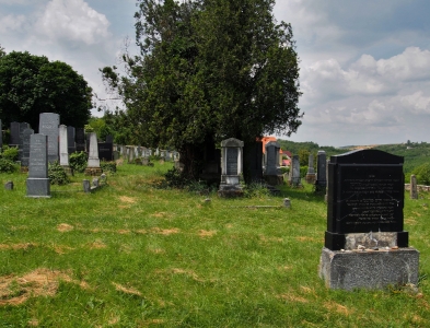Židovský hřbitov Dolní Kounice_41