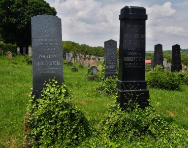 Židovský hřbitov Dolní Kounice_43