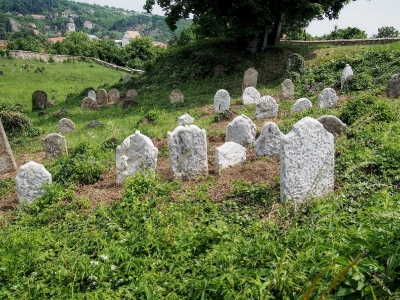 Židovský hřbitov Dolní Kounice_45