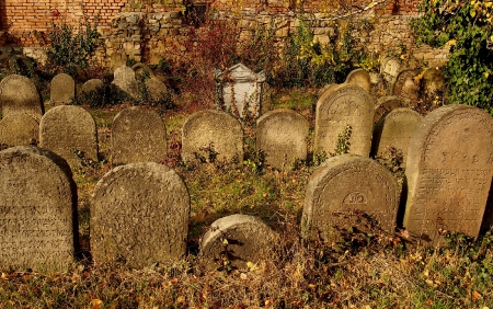 Židovský hřbitov Holešov_27
