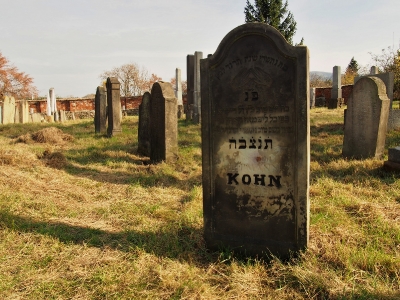 Židovský hřbitov Holešov_65