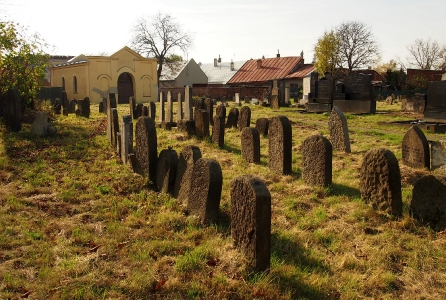 Židovský hřbitov Holešov_72