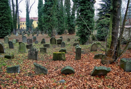 Židovský hřbitov Hranice_15