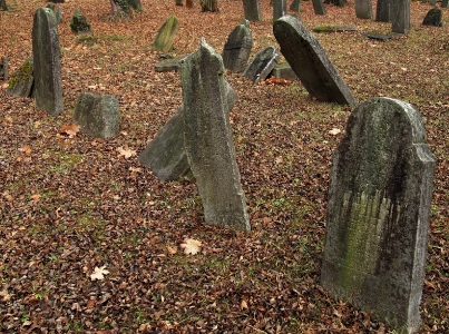 Židovský hřbitov Hranice_30