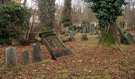 Židovský hřbitov Hranice_33