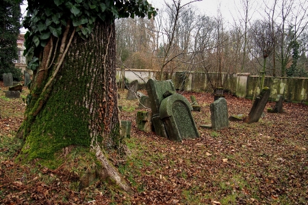 Židovský hřbitov Hranice_35