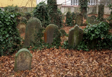 Židovský hřbitov Hranice_41
