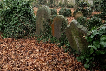 Židovský hřbitov Hranice_43