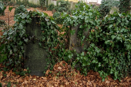 Židovský hřbitov Hranice_44