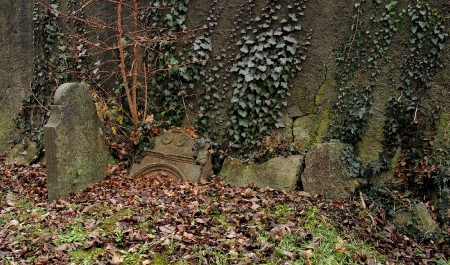 Židovský hřbitov Hranice_59