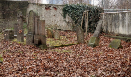 Židovský hřbitov Hranice_68