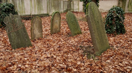 Židovský hřbitov Hranice_73