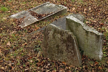 Židovský hřbitov Hranice_77