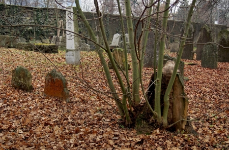 Židovský hřbitov Hranice_82